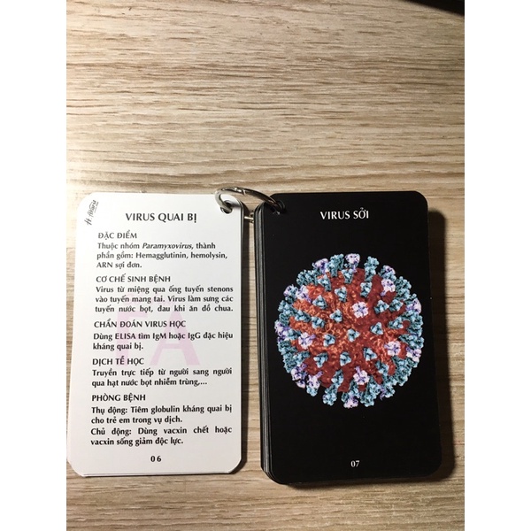 Sổ tay FA vi sinh - Virus//flashcard vi sinh- Virus
