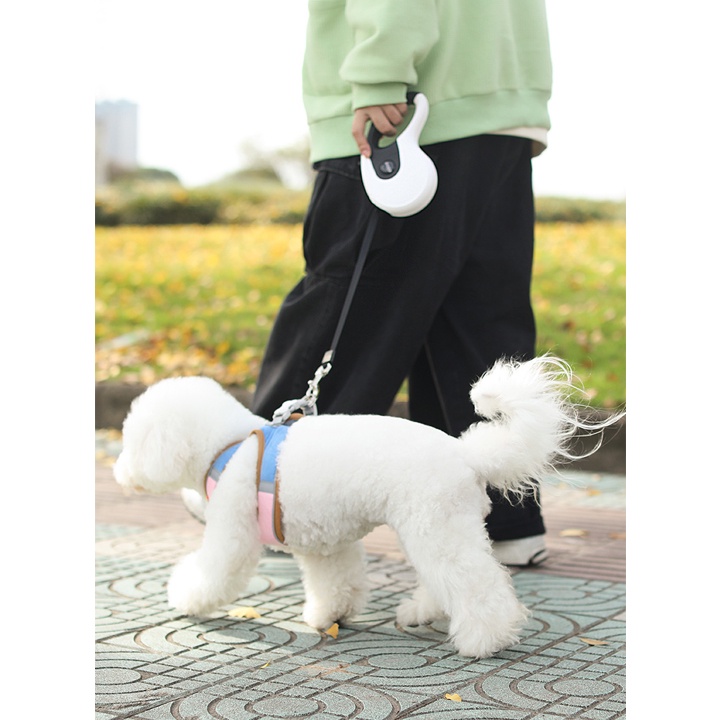 Dây Dắt Chó Tự Động cao cấp DIIL Tiện Lợi #Tintin Pet Store