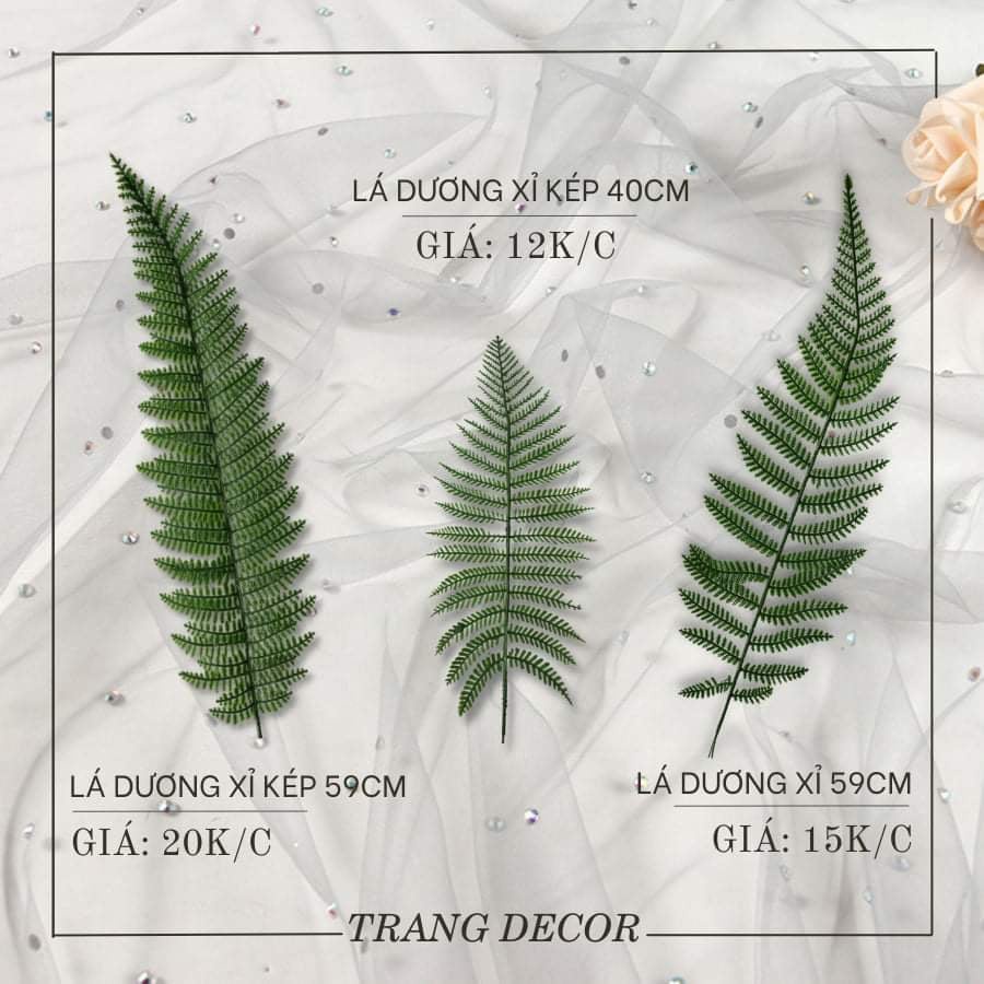 Lá trang trí, lá decor, lá chụp ảnh, lá bó hoa giá chỉ 5000-20000k