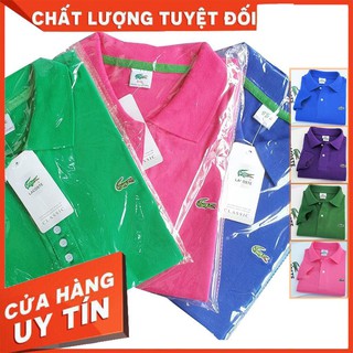 Áo thun NỮ polo Coton co giãn 4 chiều Hàng Cao cấp Nhiều màu Nhiều mẫu
