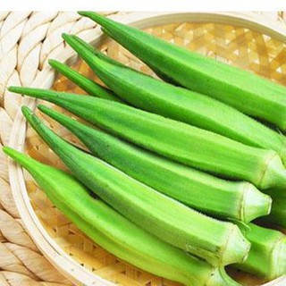 10gr hạt giống đậu bắp xanh