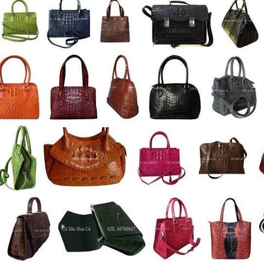 TRÙM TÚI XÁCH GIÁ RE