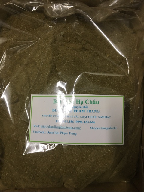 Bột diệp hạ châu