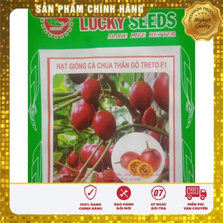 Hạt giống cà chua thân gỗ(4 hạt)