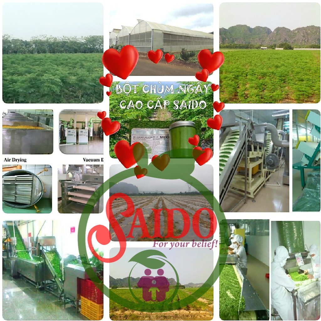 [BCN][SAIDO] VIÊN NÉN CHÙM NGÂY MẬT ONG RỪNG SAIDO | BigBuy360 - bigbuy360.vn