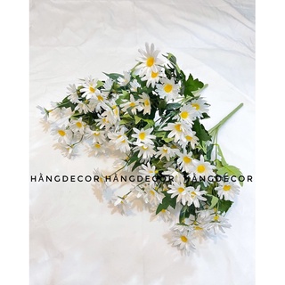 Hoa cúc hoạ mi giả hằng decor
