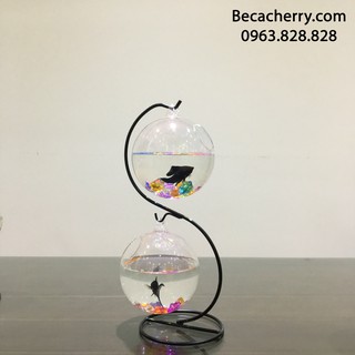 Bể cá mini chữ S 01 ( Tặng kèm combo phụ kiện trang trí )