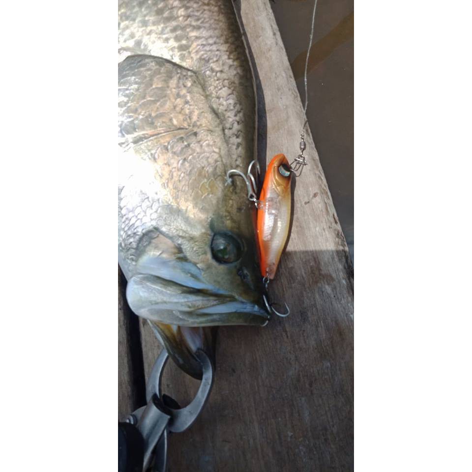 Mồi câu cá sinking Pencil Huyền thoại S7S Lurefans HKN Fishing