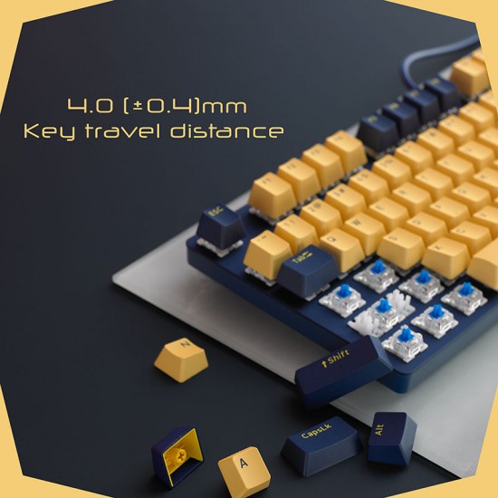 Bàn Phím Cơ Gaming Rapoo V500Pro Yellow Blue - Hàng chính hãng