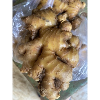 Củ gừng giao nhanh tại TpHCM