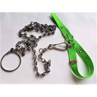 dây xích chó inox