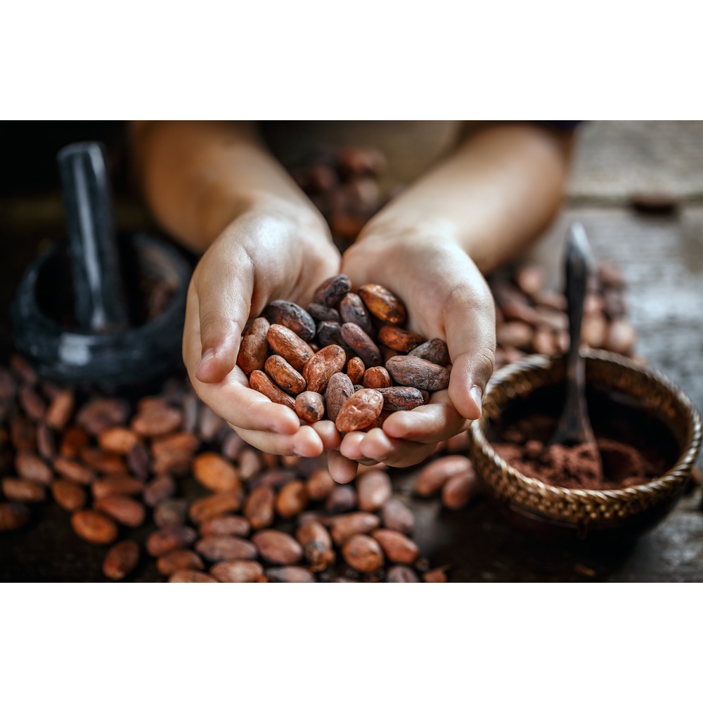 500G Cacao nguyên chất Thanh Organic giàu chất oxy hoá giúp tăng cường trao đổi chất tái tạo làn da | BigBuy360 - bigbuy360.vn