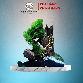 Lũa bonsai trang trí bể thuỷ sinh, cây bonsai cho bề cá mini, layout bonsai cây nấm không ra nhớt, layout thủy sinh