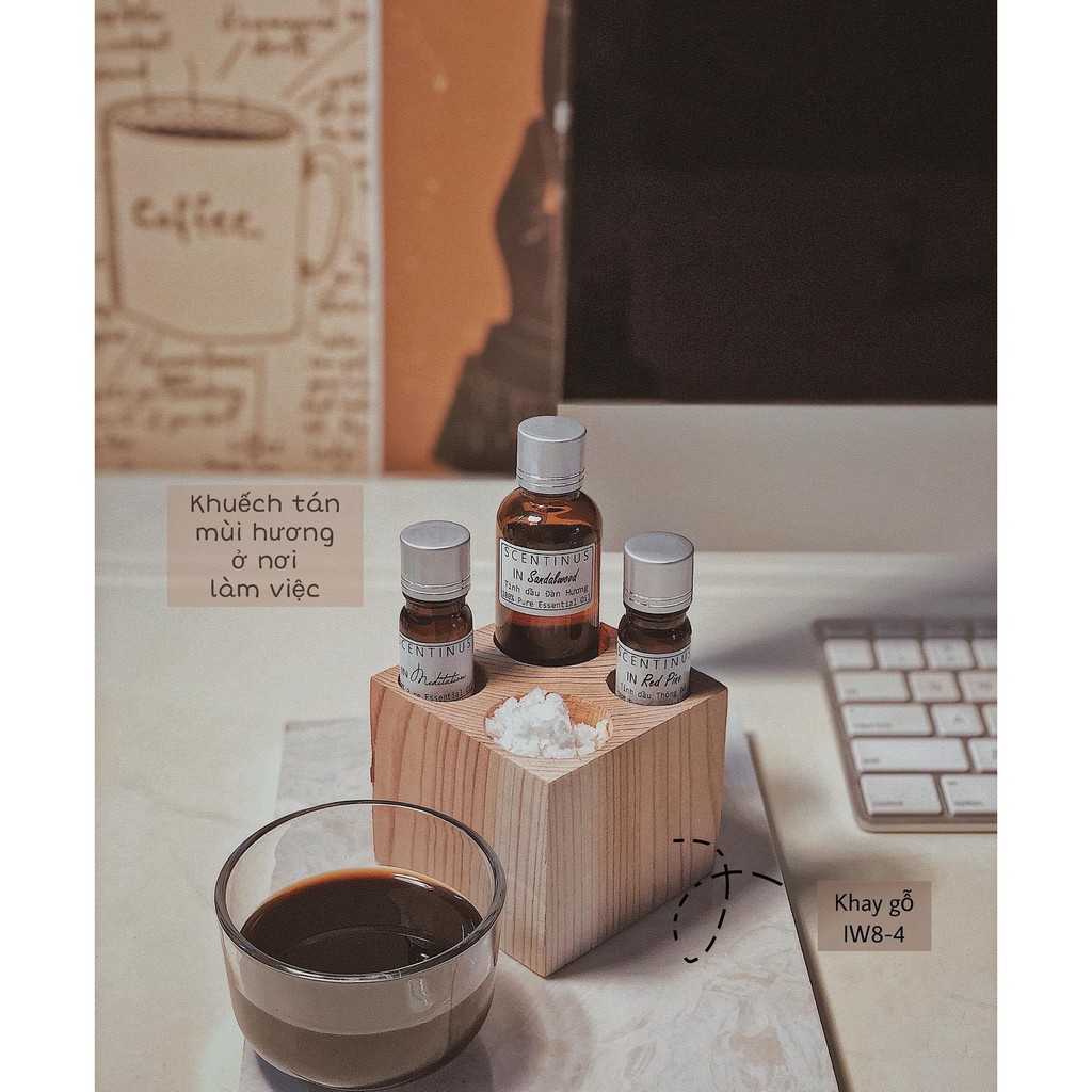 Khay gỗ đựng muối khuếch tán tinh dầu