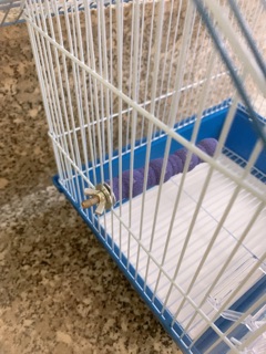 Lồng Vẹt size nhỏ cao 45cm