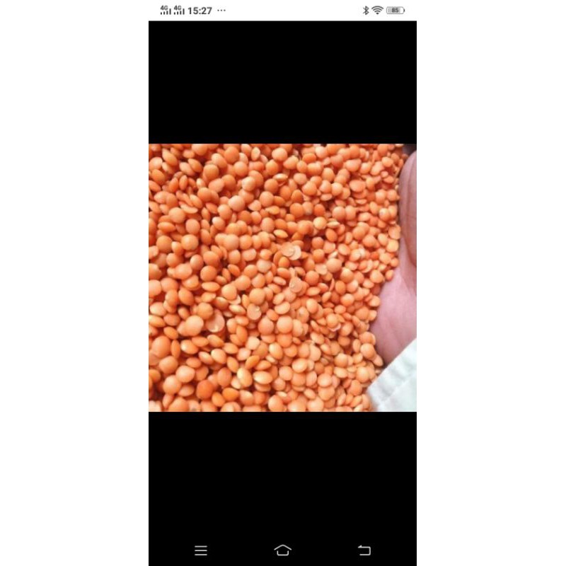 500G Đậu lăng đỏ tách vỏ nguyên hạt