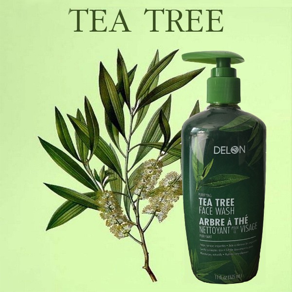 Gel Rửa Mặt DELON Tinh Dầu Cây Tràm Trà - DELON Tea Tree Face Wash 325ml