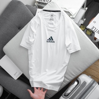 Áo thun cotton 100% dệt kim dày xin hãng chuẩn hàng vnxk