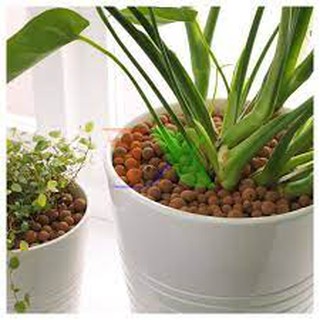 VIÊN ĐẤT NUNG SFARM ( SỎI NHẸ ) - TÚI 5DM3 ( KT 5-10MM )