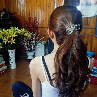 Kẹp Tóc Nữ Cao Cấp (kẹp Càng Cua Tạo Kiểu)
