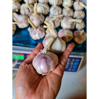 Tỏi củ 1kg