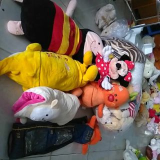 Gấu miny nguyễn