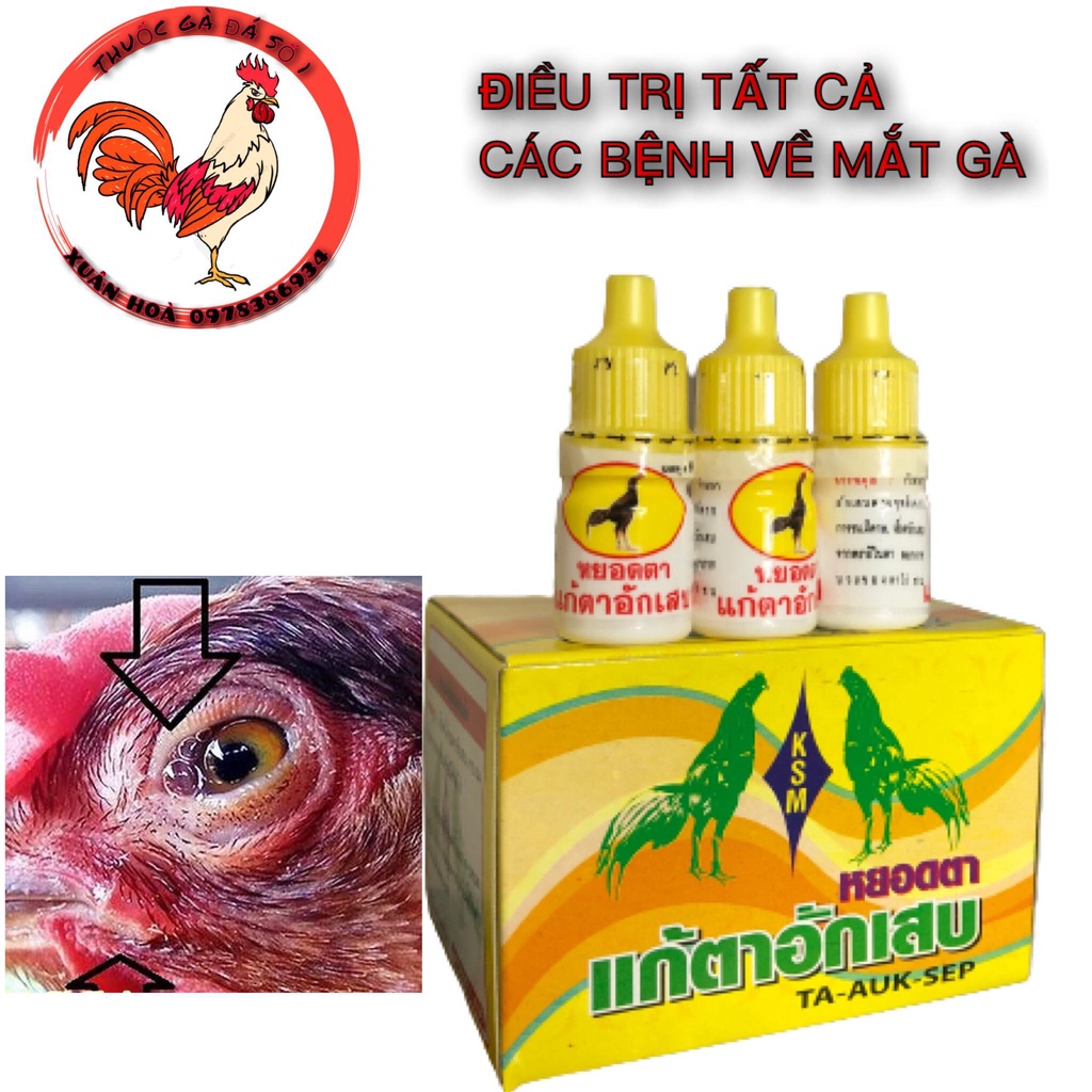 Mắt Vàng gà đá số 1 thị trường