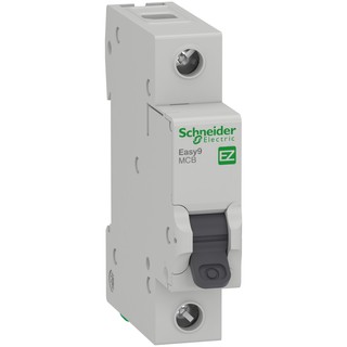 |CHÍNH HÃNG| Cầu Dao điện Easy9 MCB Schneider 1P 40A