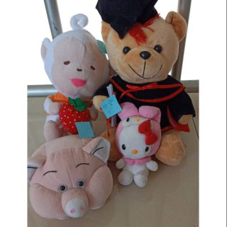 Gấu bông gấu khỉ heo kitty