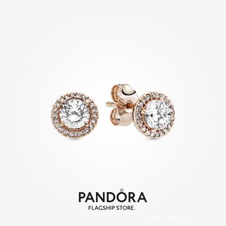 Bông tai pandora mạ vàng 14k đính đá lấp lánh