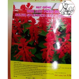 Hạt hoa xác pháo đỏ - gói 0,5 gram