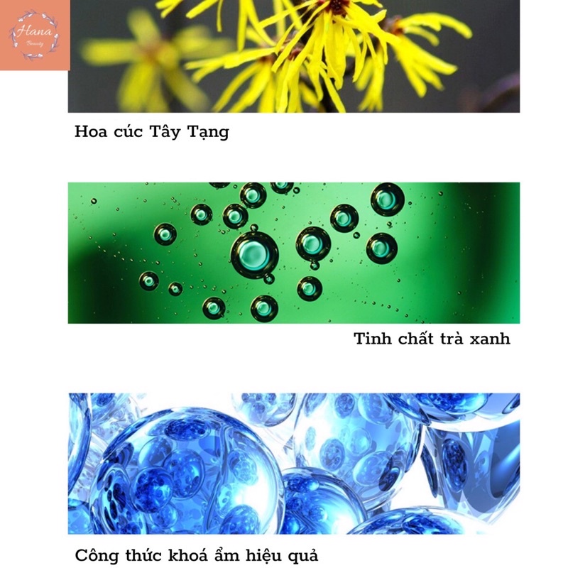 Mặt nạ NHA ĐAM tinh chất Hoa Cúc Trà Xanh dưỡng da mịn màng thu nhỏ lỗ chân lông Bioaqua | BigBuy360 - bigbuy360.vn