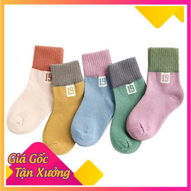 Set 5 Đôi Tất Cổ Cao Có Hình Số 19 Cho Bé Yêuz.