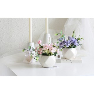 Chậu sứ trắng hoa phối