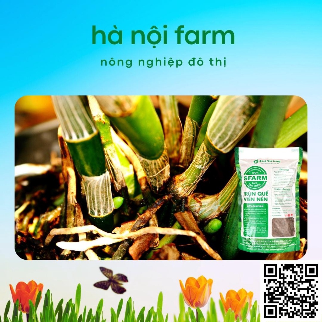Phân trùn quế dạng VIÊN Sfarm Đặng Gia Trang 1kg, phân tan chậm dành cho hoa lan cây cảnh
