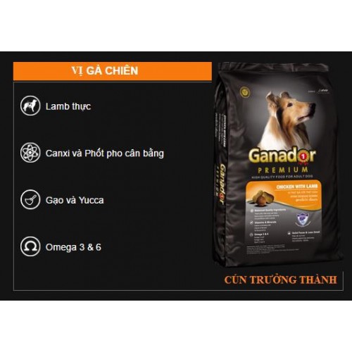 Ganador Adult 1.5kg - Thức ăn cho chó trưởng thành vị gà và cừu