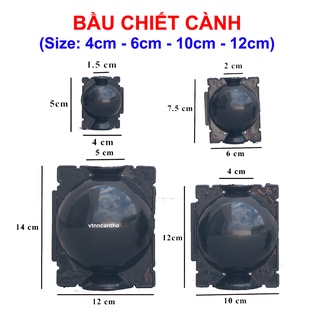 Sỉ thùng 200 bầu chiết cành nhựa 4cm bầu nhựa hỗ trợ chiết cành tiện lợi, tái sử dụng nhiều lần
