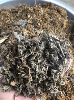 TRÀ THẢO DƯỢC LANG CƯỜNG