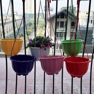 (giá rẻ) 10 chậu treo hình quả bí, khế kèm móc