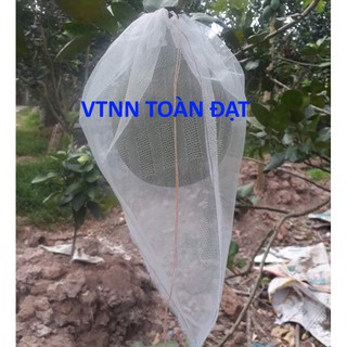 (500 cái) Túi Bao Bưởi 30x35