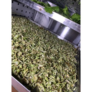 SỈ 1KG BỘT CẦN TÂY