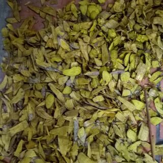 Cây thuốc nam chữa bệnh về xương khớp mới phát hiện ra.