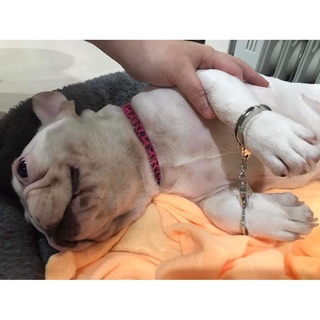 Móc khóa còng tay mini N01112