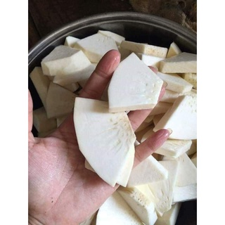 Giống cây sake ghép (chuẩn giống F1 siêu sớm trái)