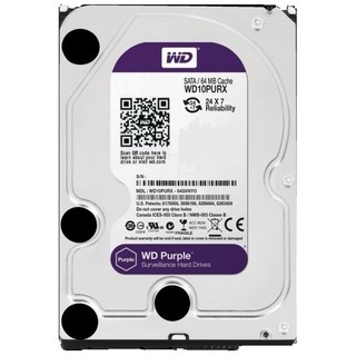 Ổ Cứng Chuyên Dùng Cho Camera HDD 1TB TÍM