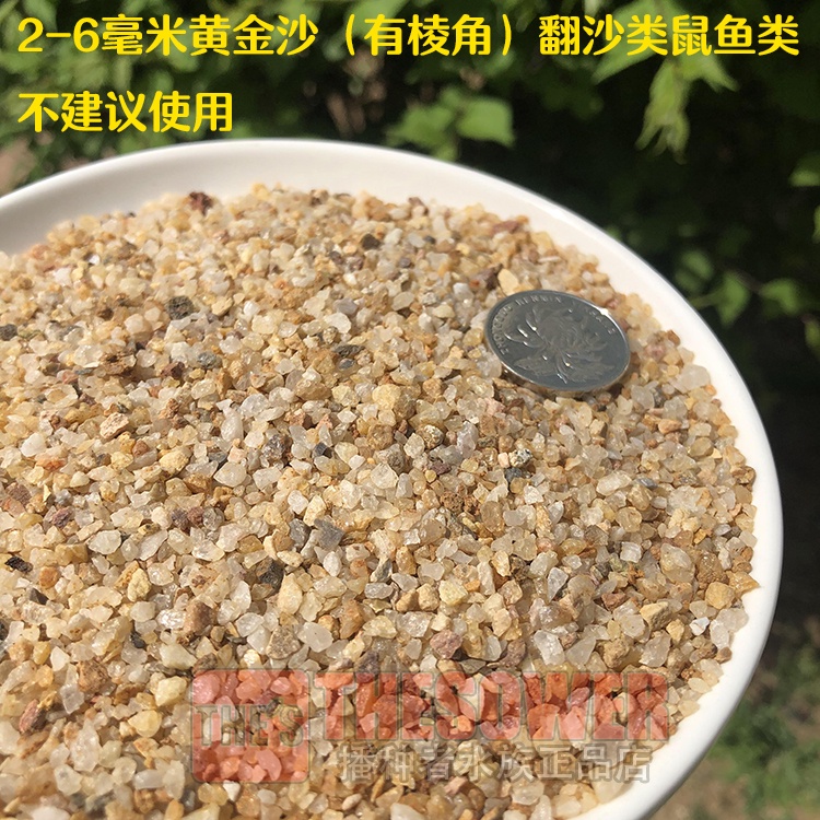 Cát màu vàng trang trí hồ cá | BigBuy360 - bigbuy360.vn