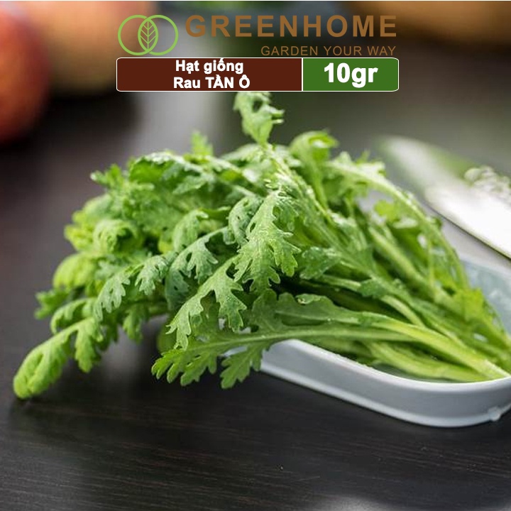 Hạt giống rau Tần ô, gói 10g, cải cúc dễ trồng, thu hoạch nhanh R02 |Greenhome