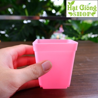 Chậu nhựa mini vuông