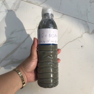 GE gừng + mía + EM 500ml (kích rễ, bật mầm tốt) có mùi hoi vì có chứa chất EM nhé