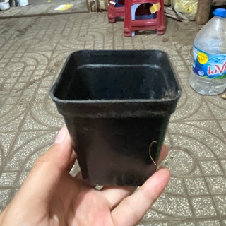 Chậu nhựa trồng cây 7x7cm và 9x9cm